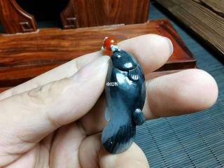 新疆和田玉籽料籽料青花鱼精品小挂件
