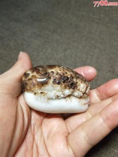 和田玉黑皮巧雕金蟾